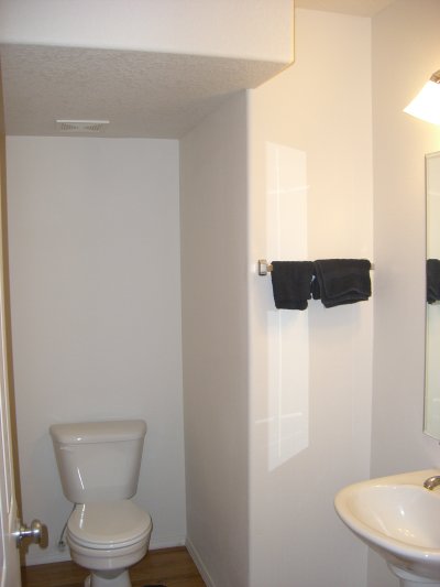 Downstairs bathroom, before